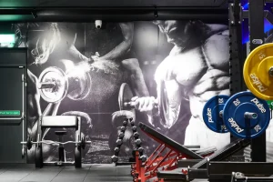 connected light body focus case study image 12