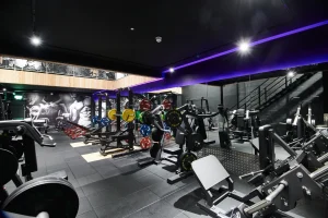 connected light body focus case study image 13