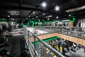 connected light body focus case study image 15