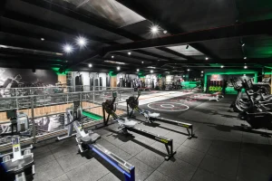 connected light body focus case study image 17