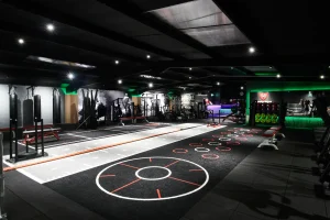 connected light body focus case study image 19