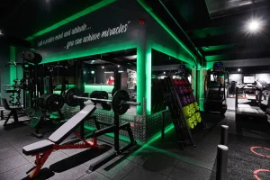 connected light body focus case study image 2