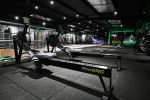 connected light body focus case study image 4