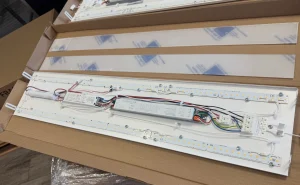 Bespoke School Raft Lighting Upgrades 1